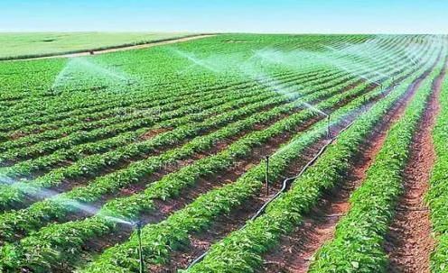 操逼视频软软农田高 效节水灌溉